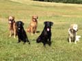 Most of the Gang!